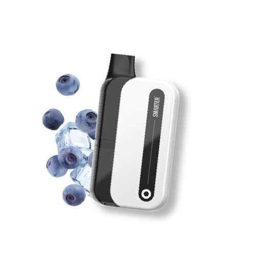 SMARTER S6000 - Ocean Mist - Blueberry Ice